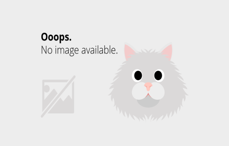 Americanii ramin la putere