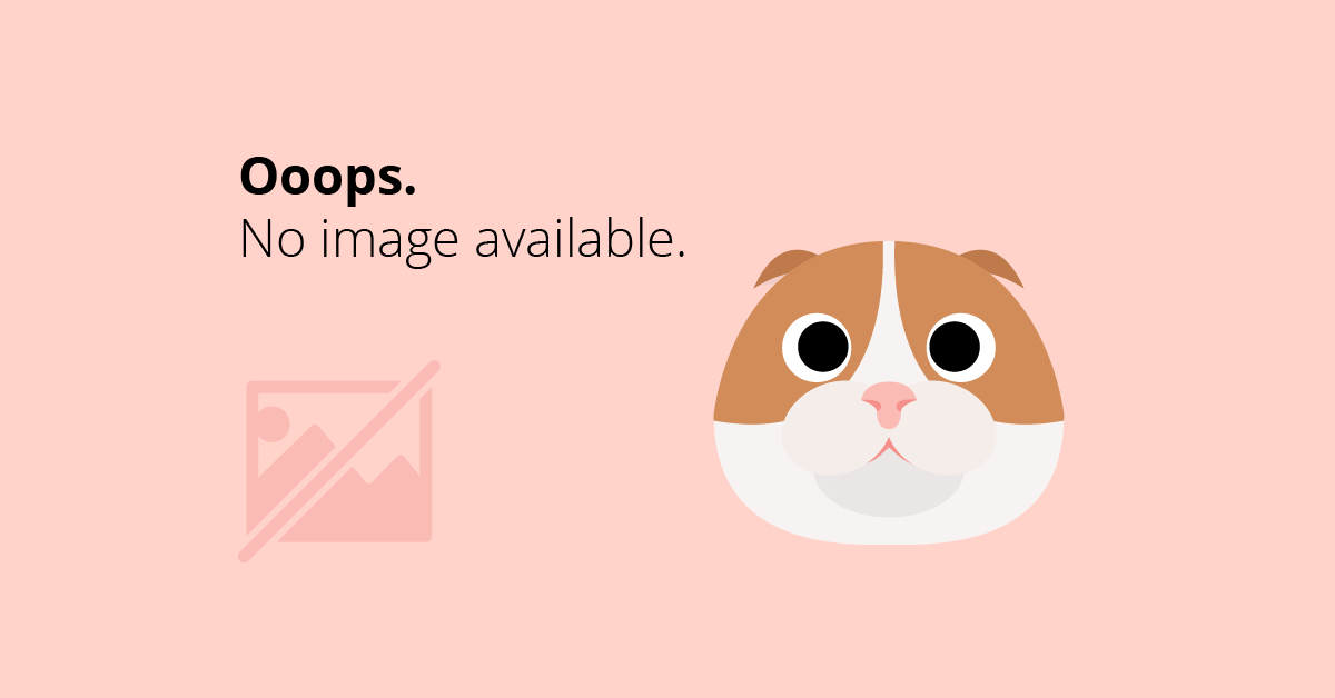 Autostrada Soarelui a mai crescut cu 37 km