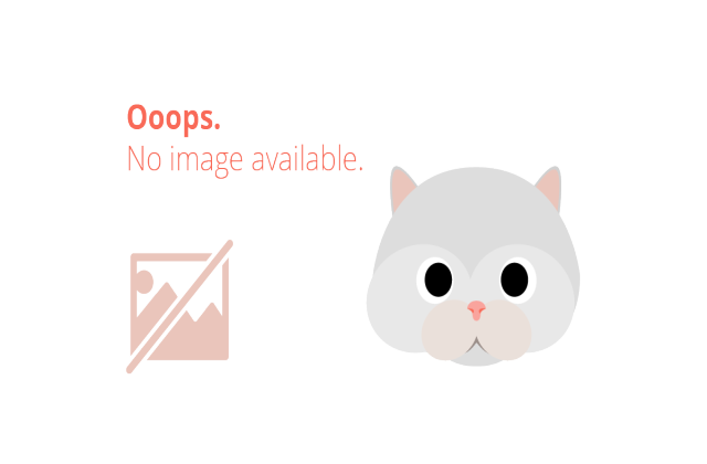 Spania si Bulgaria, destinatii favorite pentru romani