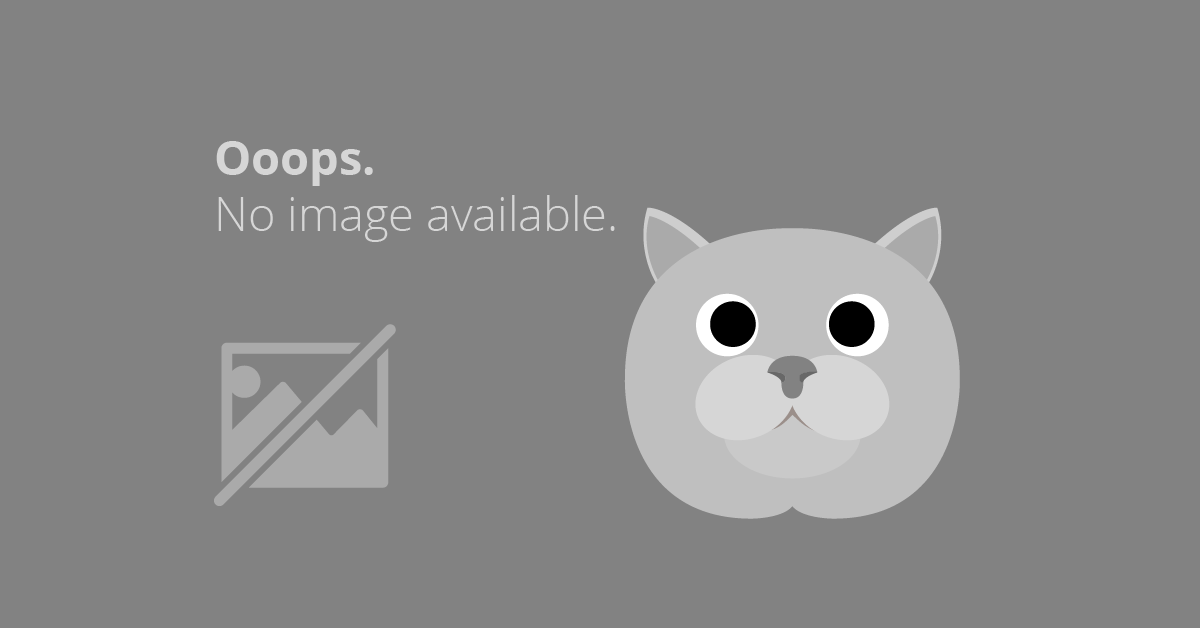 'Care este' va ajunge presedinte