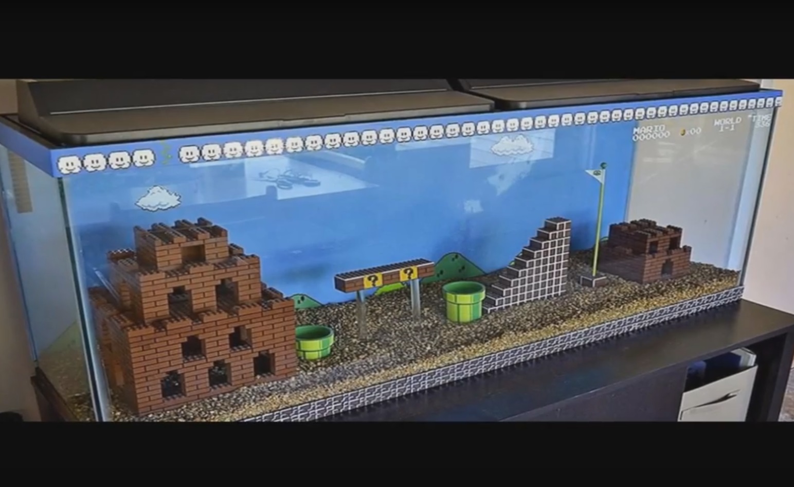 Decorarea acvariului