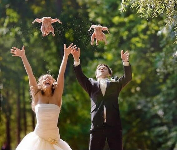 Zboara puiule, zboara...