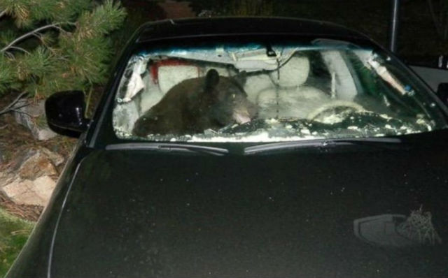 Ce o fi cu pasagerul din drepata? Pare ceva in neregula cu el