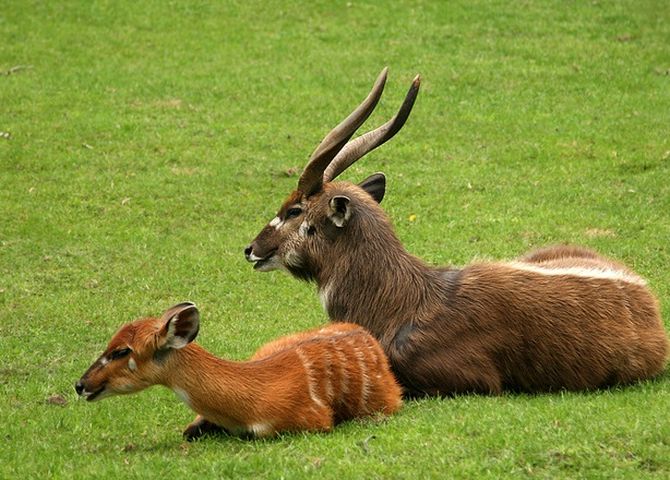 Sprijin, in orice moment