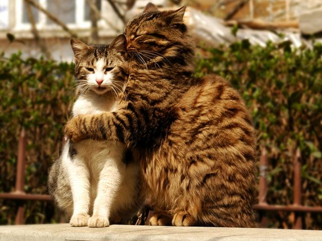 Imaginea vorbeste de la sine