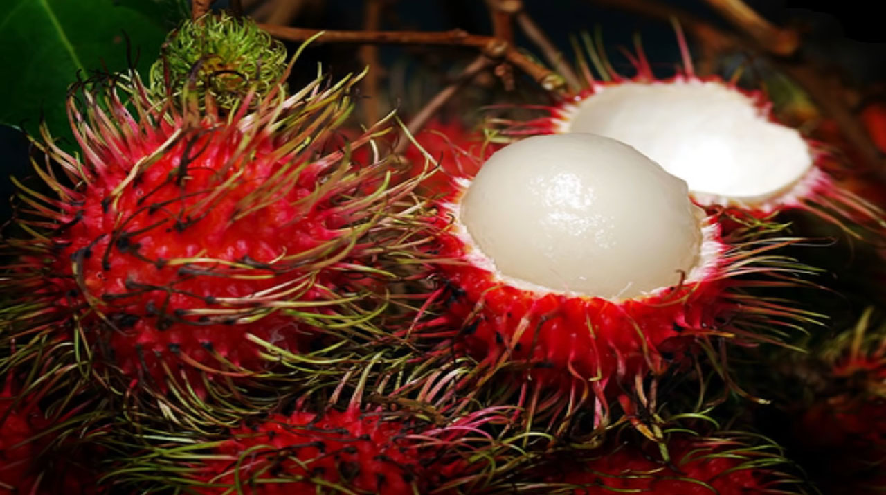 Rambutan