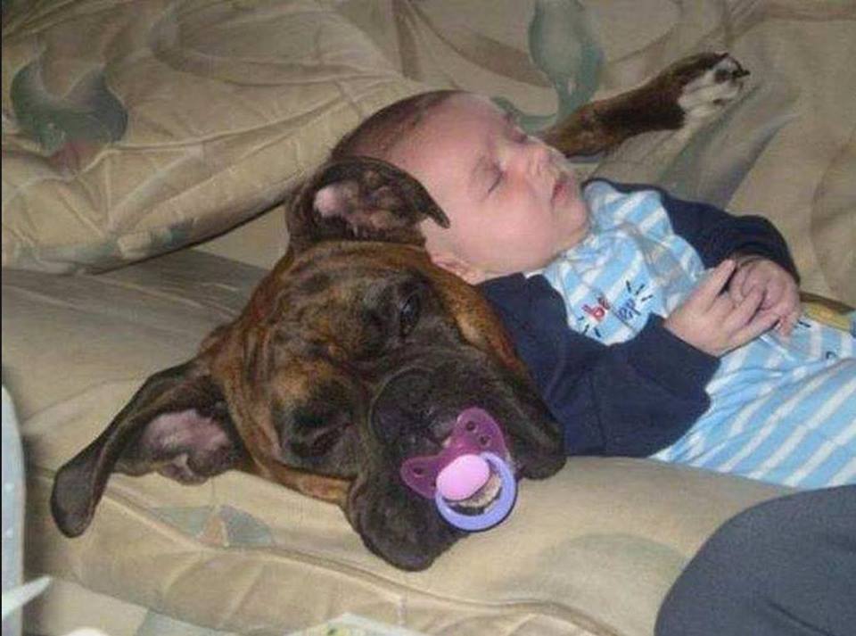 Ti-ai lasa copilul cu ei?