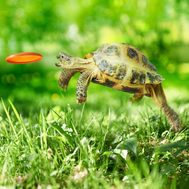 Poza reala sau prelucrata in photoshop?