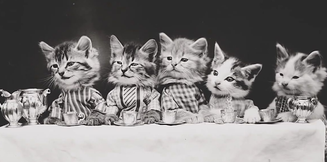 Ceaiul de la ora cinci