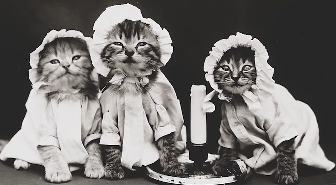 Pregatite de culcare