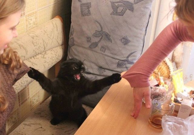 Oaspetii tai sunt chinuiti de ea