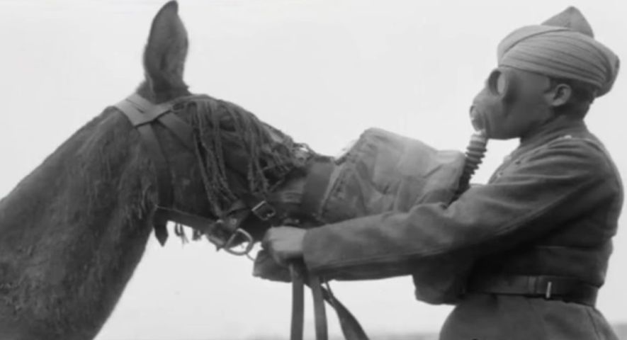 Un soldat Sikh al armatei britanice indiene, punand o masca de gaze unui catar (circa 1939-1945)