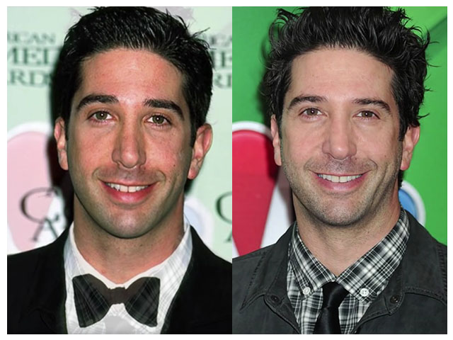 David Schwimmer (Ross Geller)