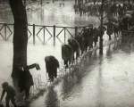 Inundatie in Paris, 1924: oamenii mergeau pe scaune pentru a nu se uda