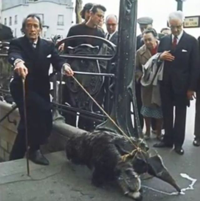 Salvador Dali, plimbandu-si animalul de companie: un furnicar (1969)