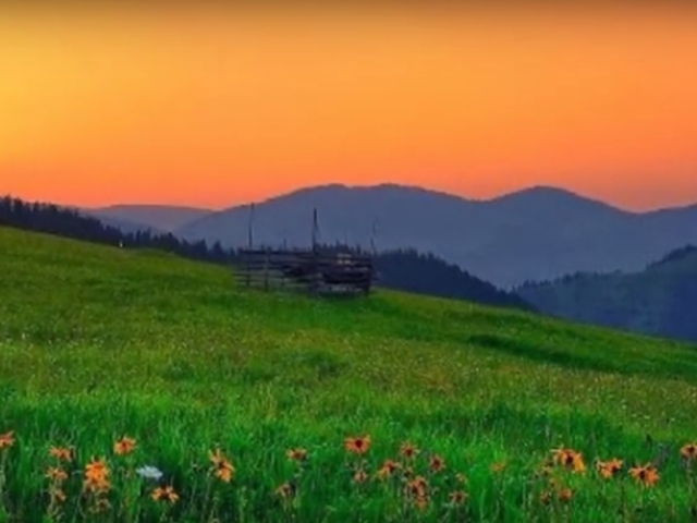 Frumusetea indescriptibila a naturii