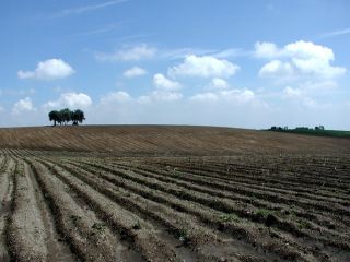 Cum va merge pe durata plugaritului?