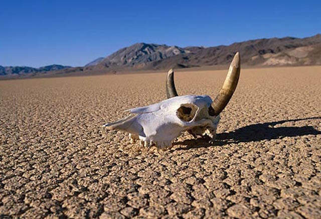 5. Cea mai mare temperatura inregistrata vreodata: 56,7 grade Celsius in Valea Mortii