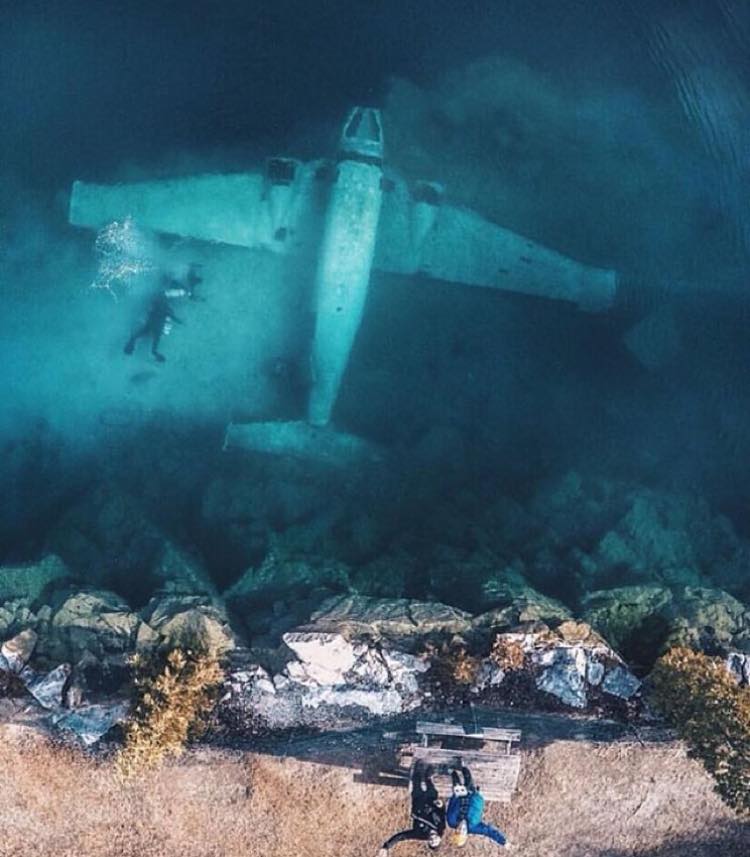 Omul este natura naturii. - N. Stanescu
