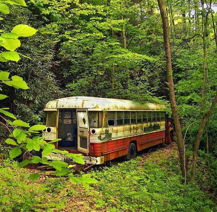 Natura este arta lui Dumnezeu cel Vesnic. - D. Alighieri