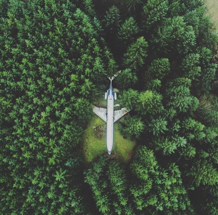 Natura este o arta inca necunoscuta omului.