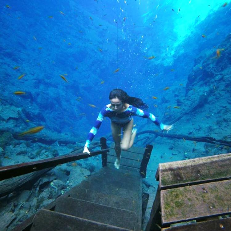 Natura este un labirint, in care insasi graba cu care te misti te va face sa te ratacesti.