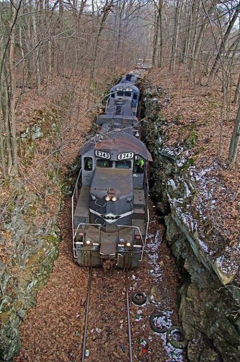 Natura nu este un templu, ci un atelier in care omul trebuie sa ramana un simplu muncitor. - Turgheniev