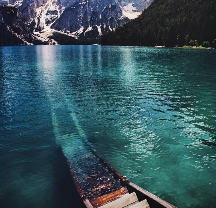 Natura este singurul ucigas care nu poate fi judecat.