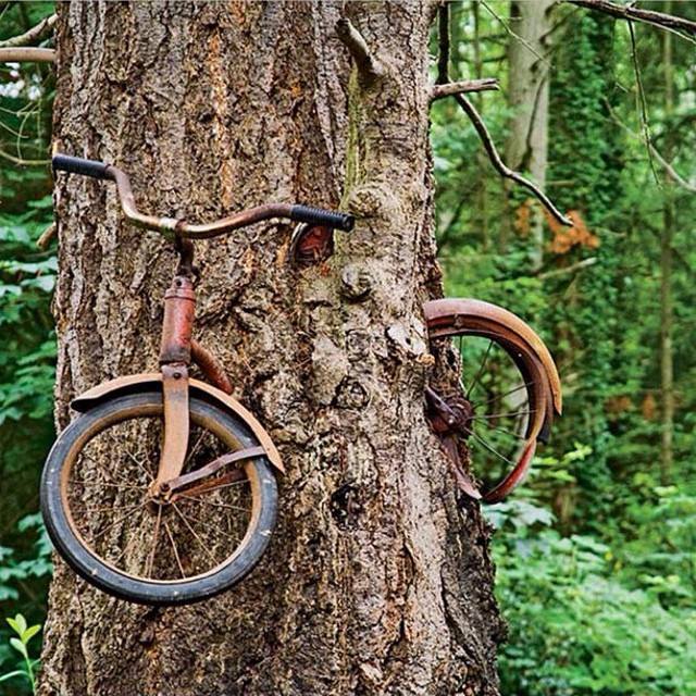 Natura. Malaxor ce devoreaza tot. - G. Mihail