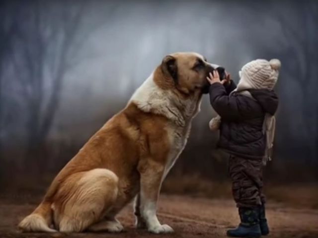 Cainele, cel mai bun prieten al copilului tau
