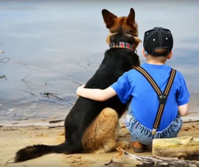 "Cainele a fost creat pentru copii. El este zeul veseliei" (Henry Ward Beecher)