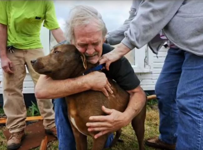 Cuvintele sunt de prisos