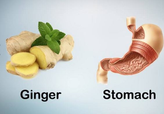 5. Ghimbirul si stomacul