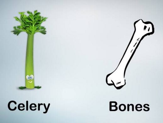 10. Telina si oasele