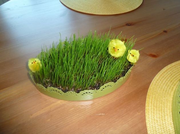 7. Finlanda asteapta sa creasca iarba