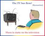 5. "Sunt purici la TV"