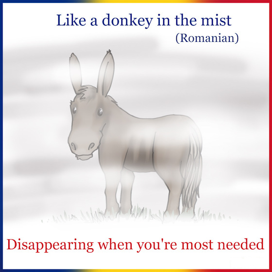 8. "A disparut ca magaru-n ceata"