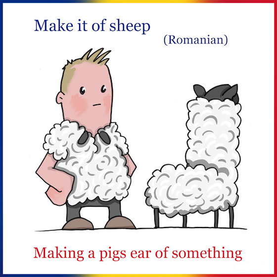 10. "Ai facut-o de oaie"