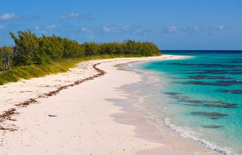 6. Plaja Nisipurilor Roz, Bahamas