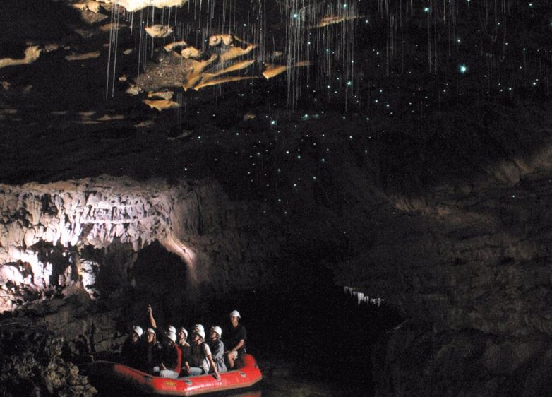 4. Pesterile Glowworm, Noua Zeelanda