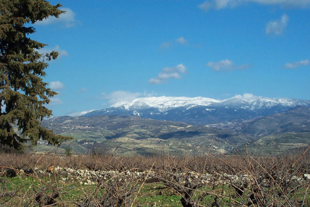 Cipru - Muntele Olimp - 1952 metri