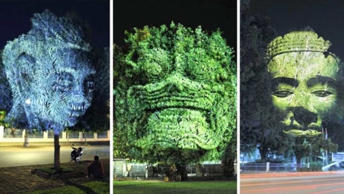Cambodian Trees