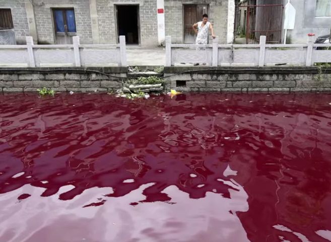 Statistici ingrijoratoare