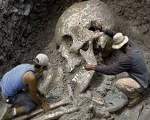 Craniu gigant, descoperit