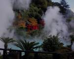 Iazul Iadului, Beppu, Japonia