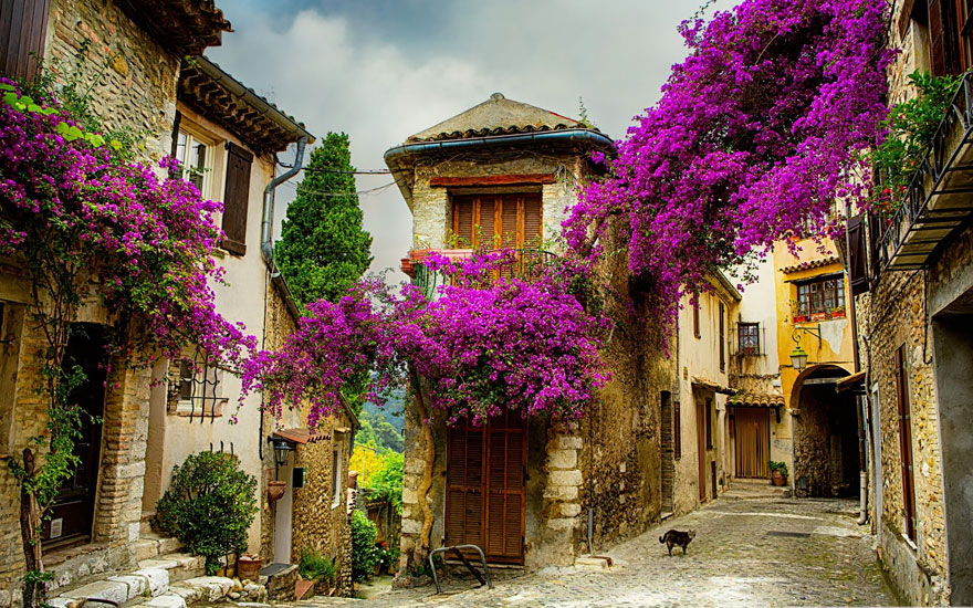 9. Provence, Franta