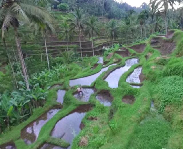 Bali, o locatie fascinanta
