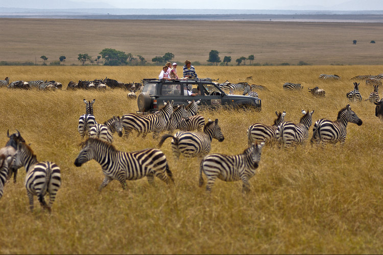 7. Parcul National Serengeti, Tanzania