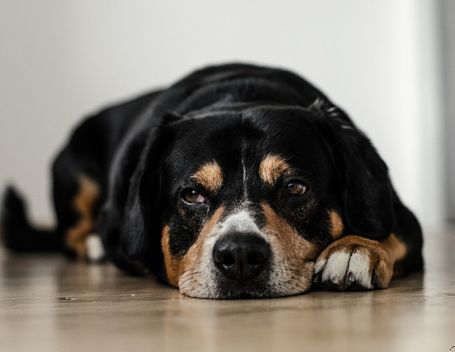 Cum sa nu suferi alaturi de el?