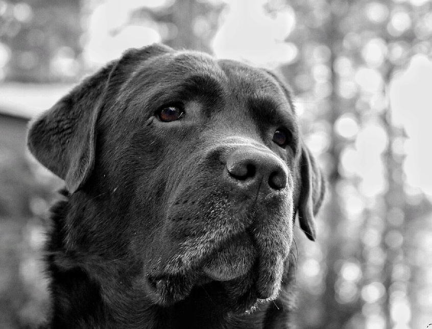 Ochii, asemeni unor santinele, ocupa pozitia cea mai inalta a corpului. (Marcus Tulius Cicero)